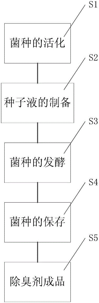 Organic garbage deodorant containing microbial strains and preparation method thereof