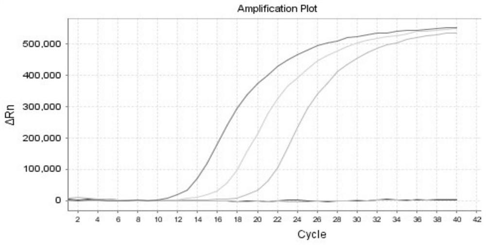 Biomarkers and detection kits for bladder cancer diagnosis and recurrence monitoring