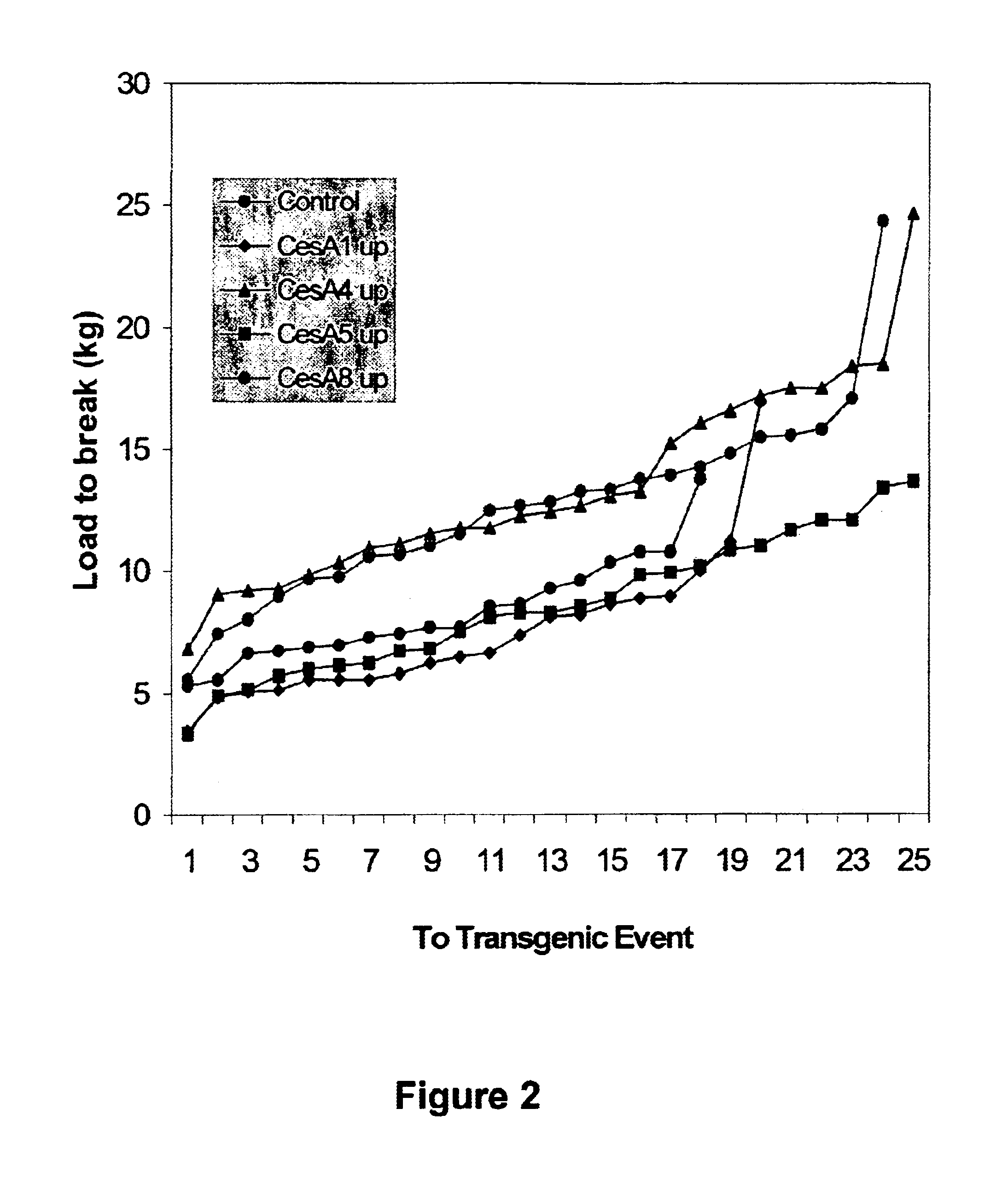 Maize cellulose synthases and uses thereof