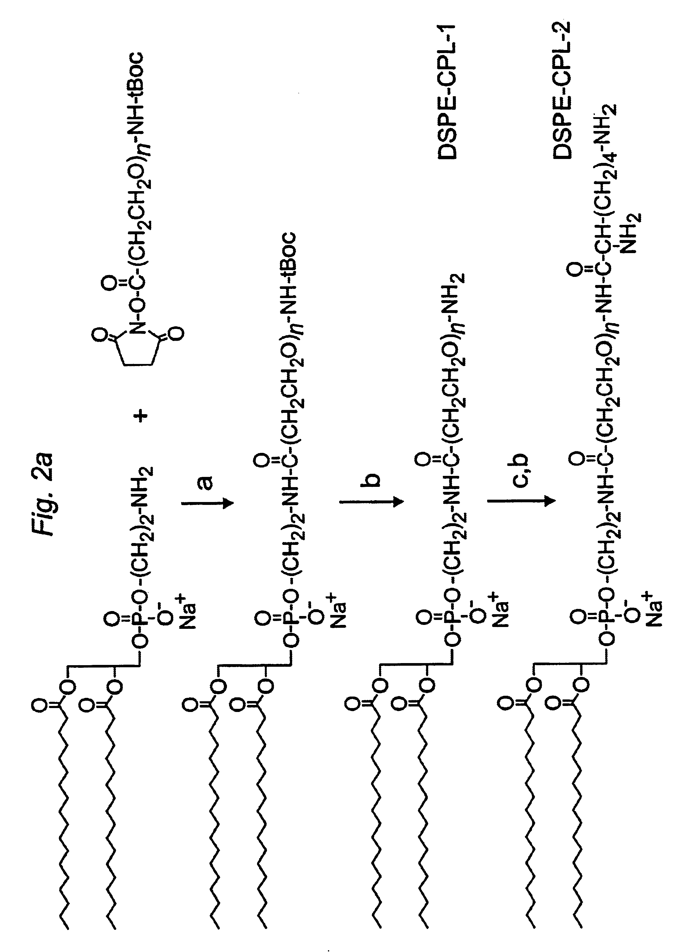 Cationic peg-lipids and methods of use