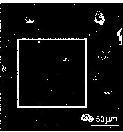 Thermochromism coating with variable emissivity and preparation method thereof