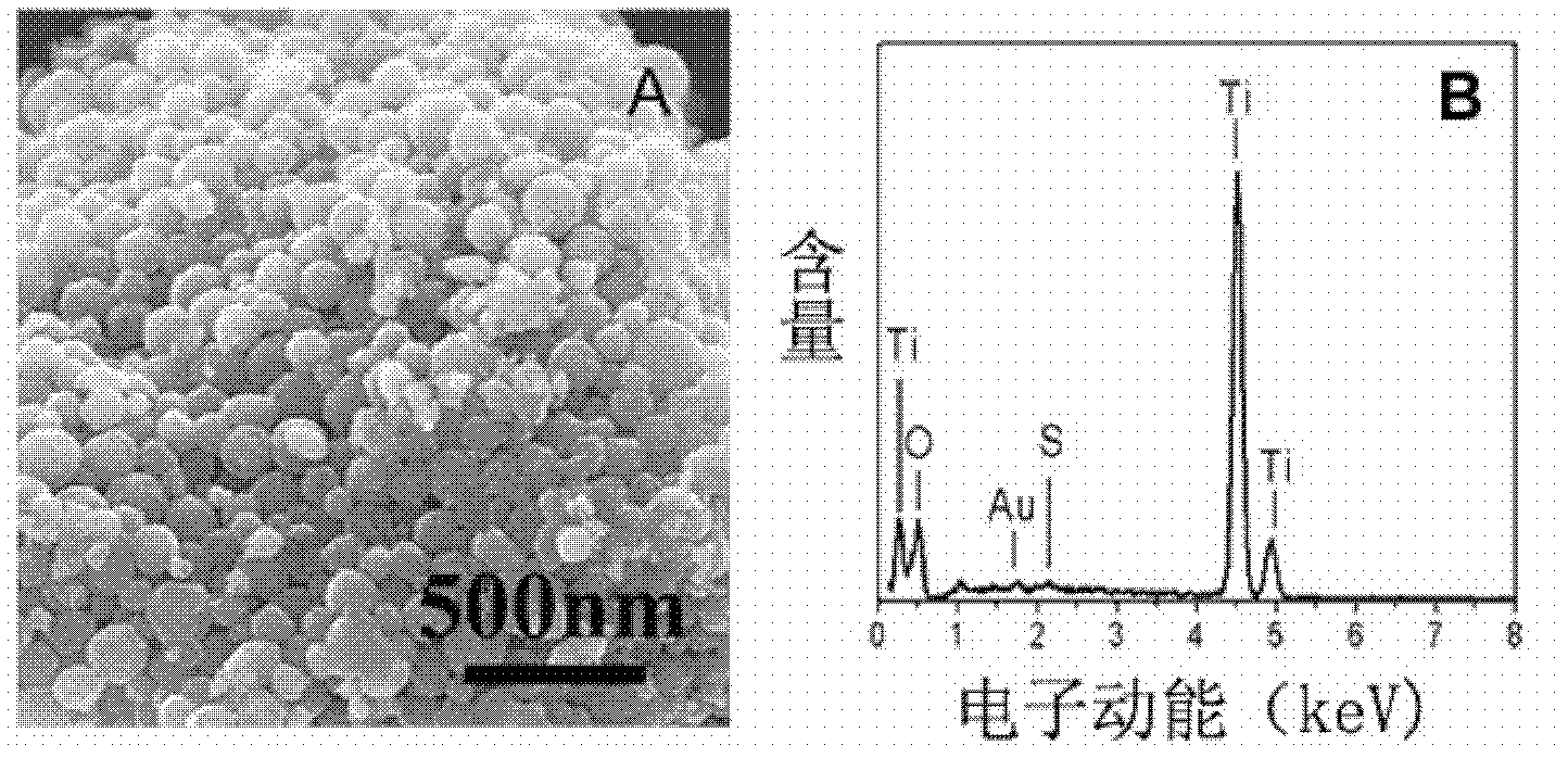 Preparation method of nano-sized gold/ titanium dioxide compound mesoporous microspheric photocatalyst