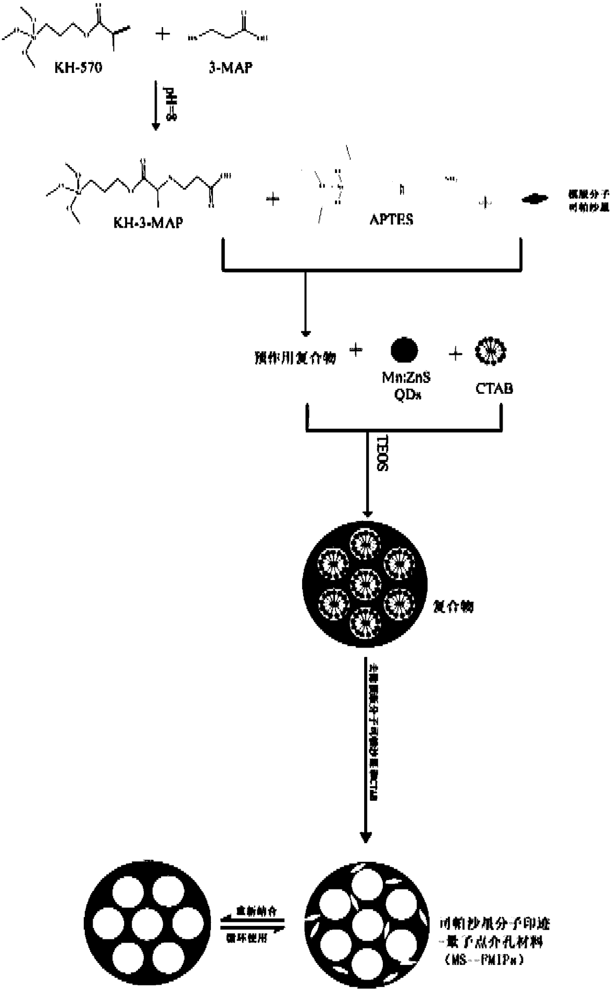 Sparfloxacin molecular imprinting-quantum dot mesoporous material as well as preparation method and application thereof