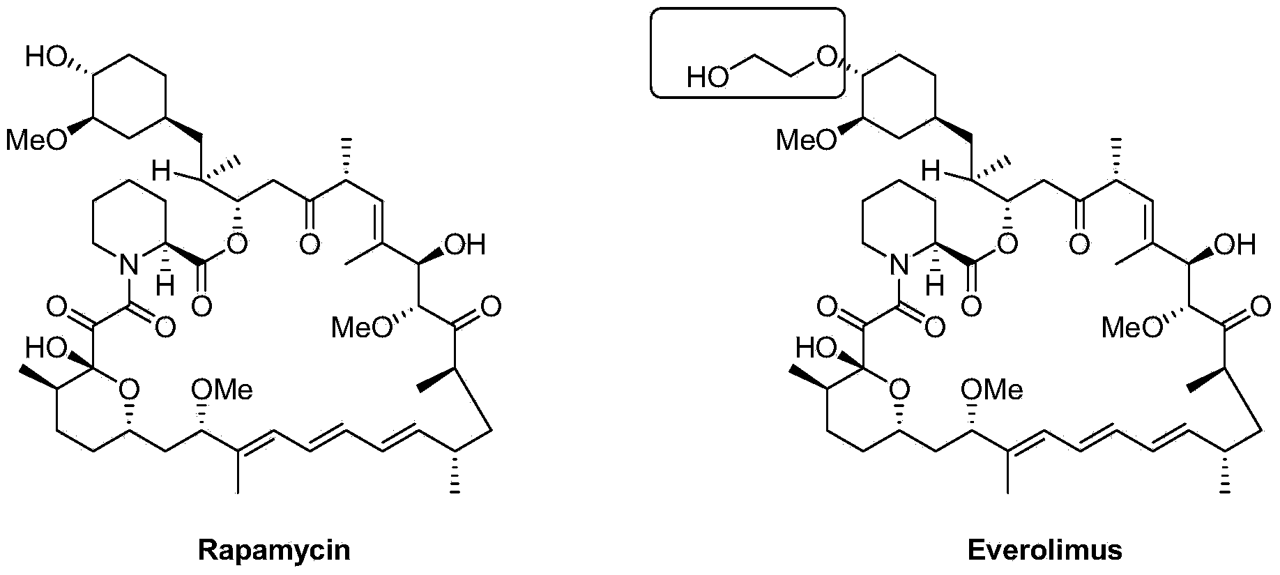 Preparation technology for everolimus