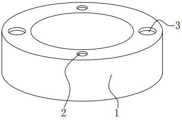 Quick positioning device for detecting hollow pile through low strain method