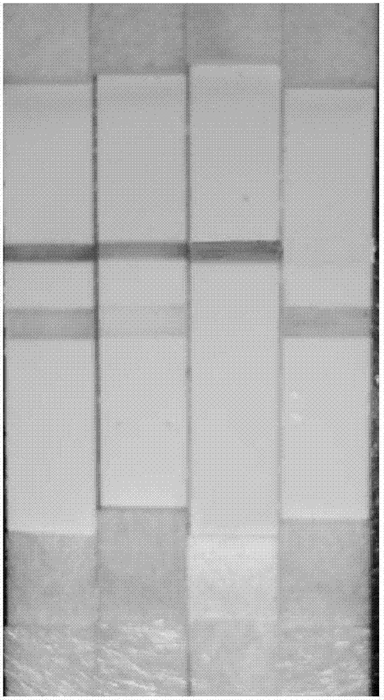 Nucleic acid aptamer of cortisol, and gold-colloidal test strip used for detecting cortisol