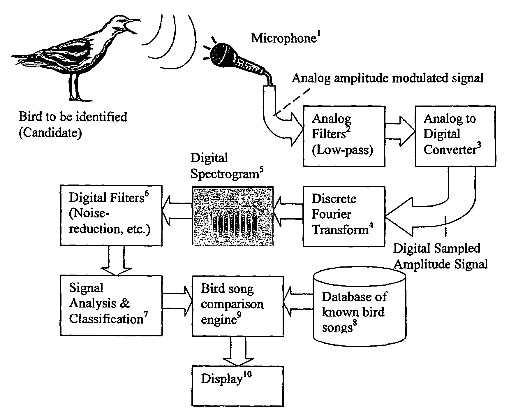 Method and apparatus for automatically identifying animal species from their vocalizations