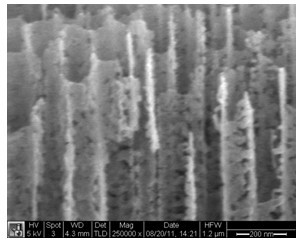 Porous titanium nitride nanotube array film and preparation method thereof