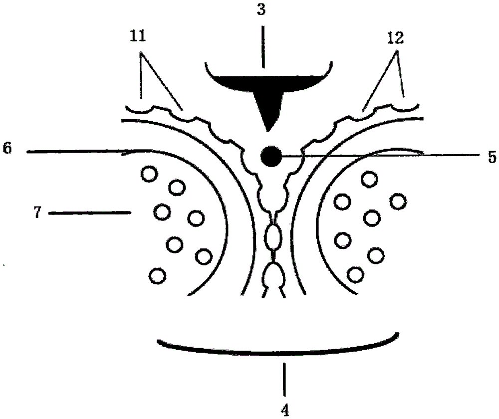 A method of preparing a freeze-drying excipient by using rolling dies and a product thereof