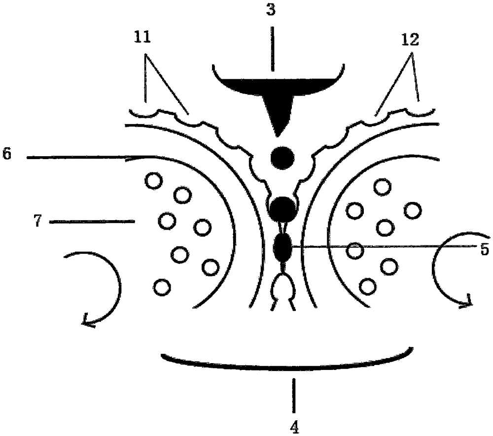 A method of preparing a freeze-drying excipient by using rolling dies and a product thereof