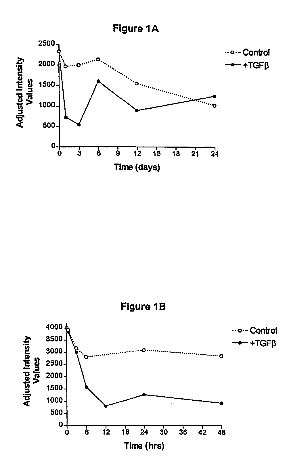 Gene associated with bone disorders