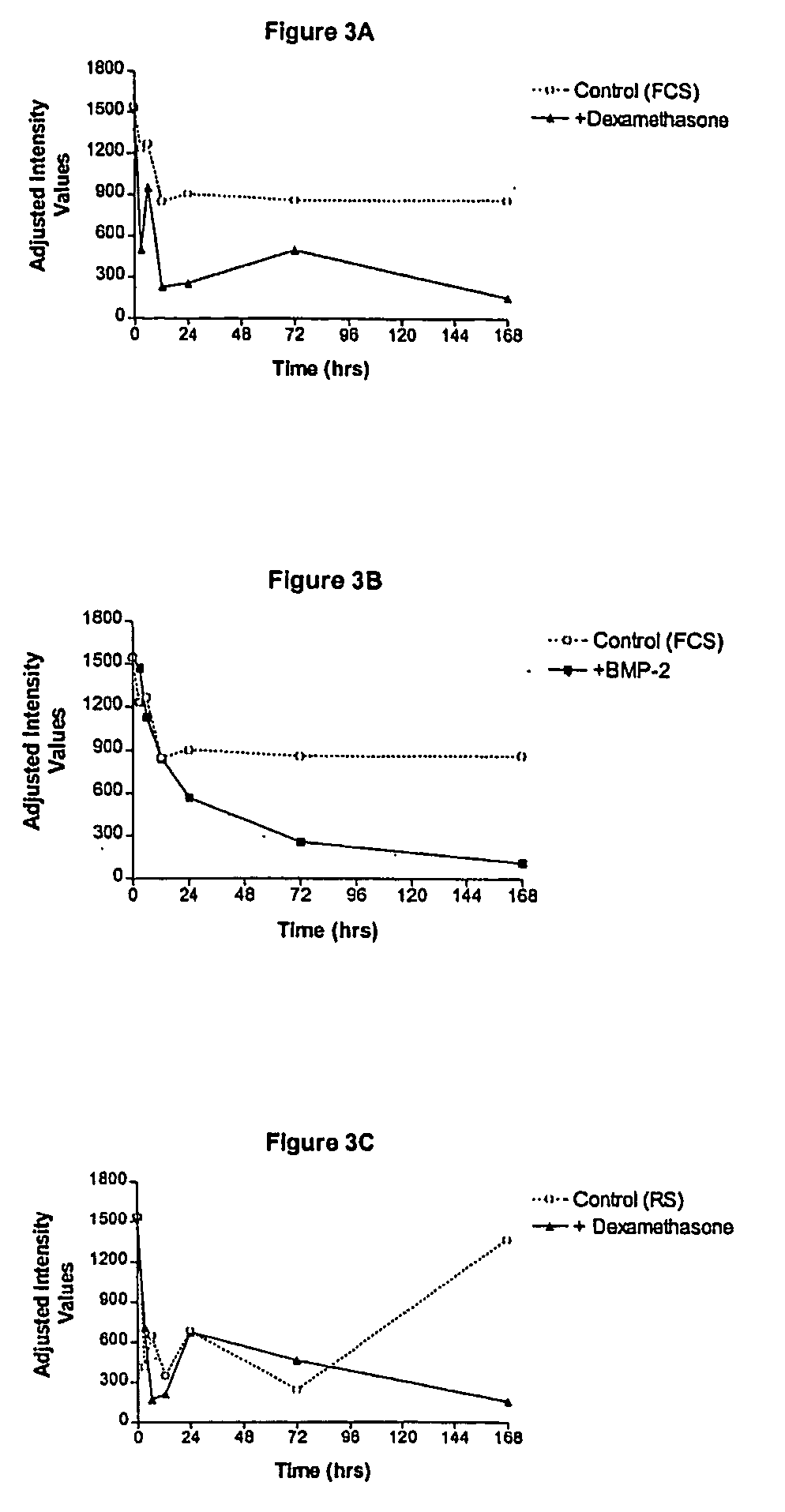 Gene associated with bone disorders