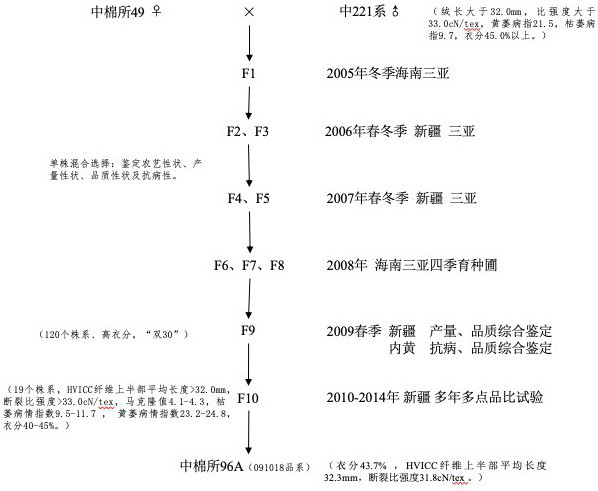 Breeding method of a high lint, high-quality machine-picked cotton variety Zhongmian Institute 96a