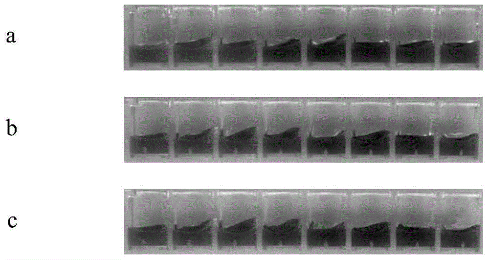 Immune colloidal gold test strips for detection of fruit spot fungus and its monoclonal antibody and hybridoma cell line