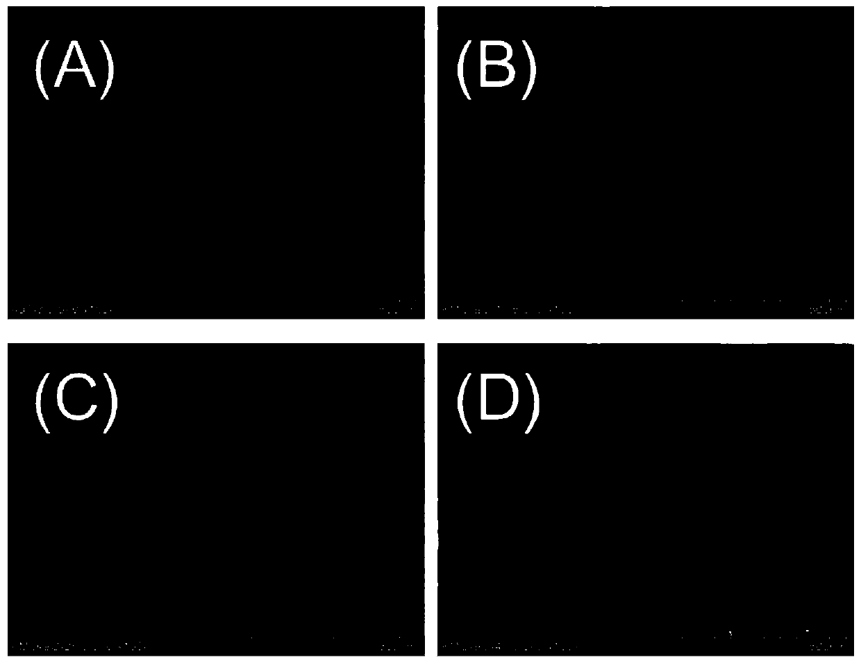 Boron-nitrogen co-doped carbon/manganese oxide composite nanosheet material, preparation method and application