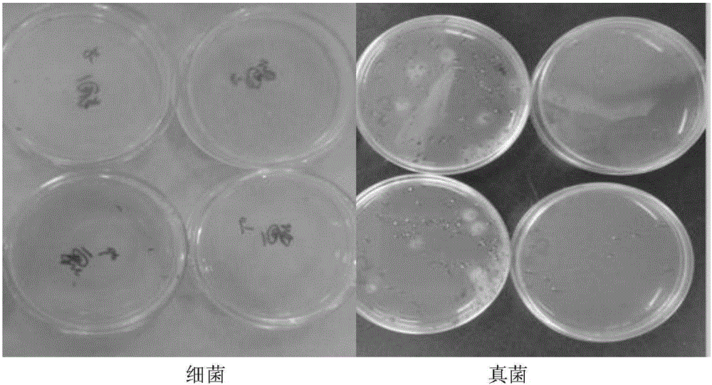 Mild shampoo composition with self-corrosion-resistant function