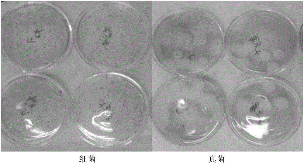 Mild shampoo composition with self-corrosion-resistant function