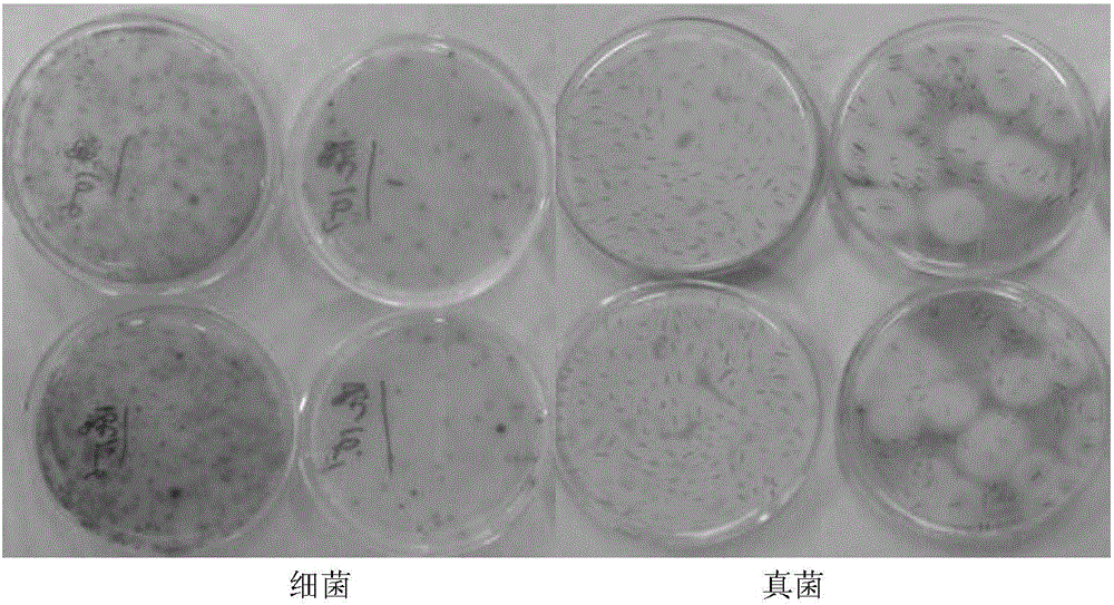 Mild shampoo composition with self-corrosion-resistant function