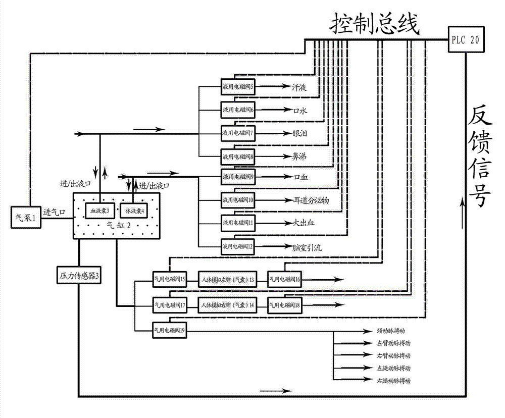 Biochemical device and method for simulating humoral secretion