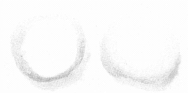 Method for storing and refreshing fruits through ozone ice film