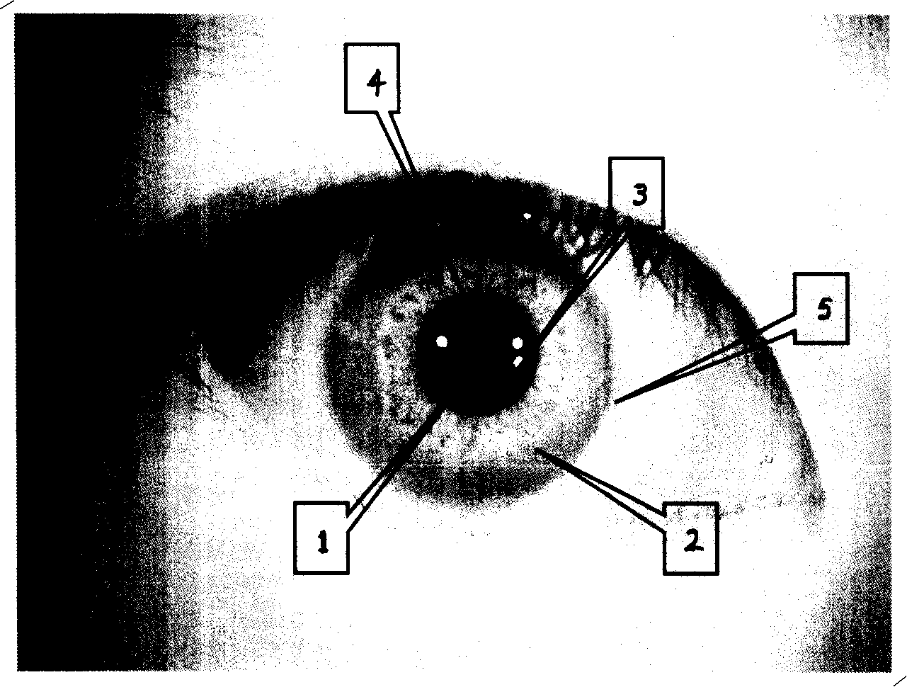 Iris recognizing preprocessing method based on grey level information