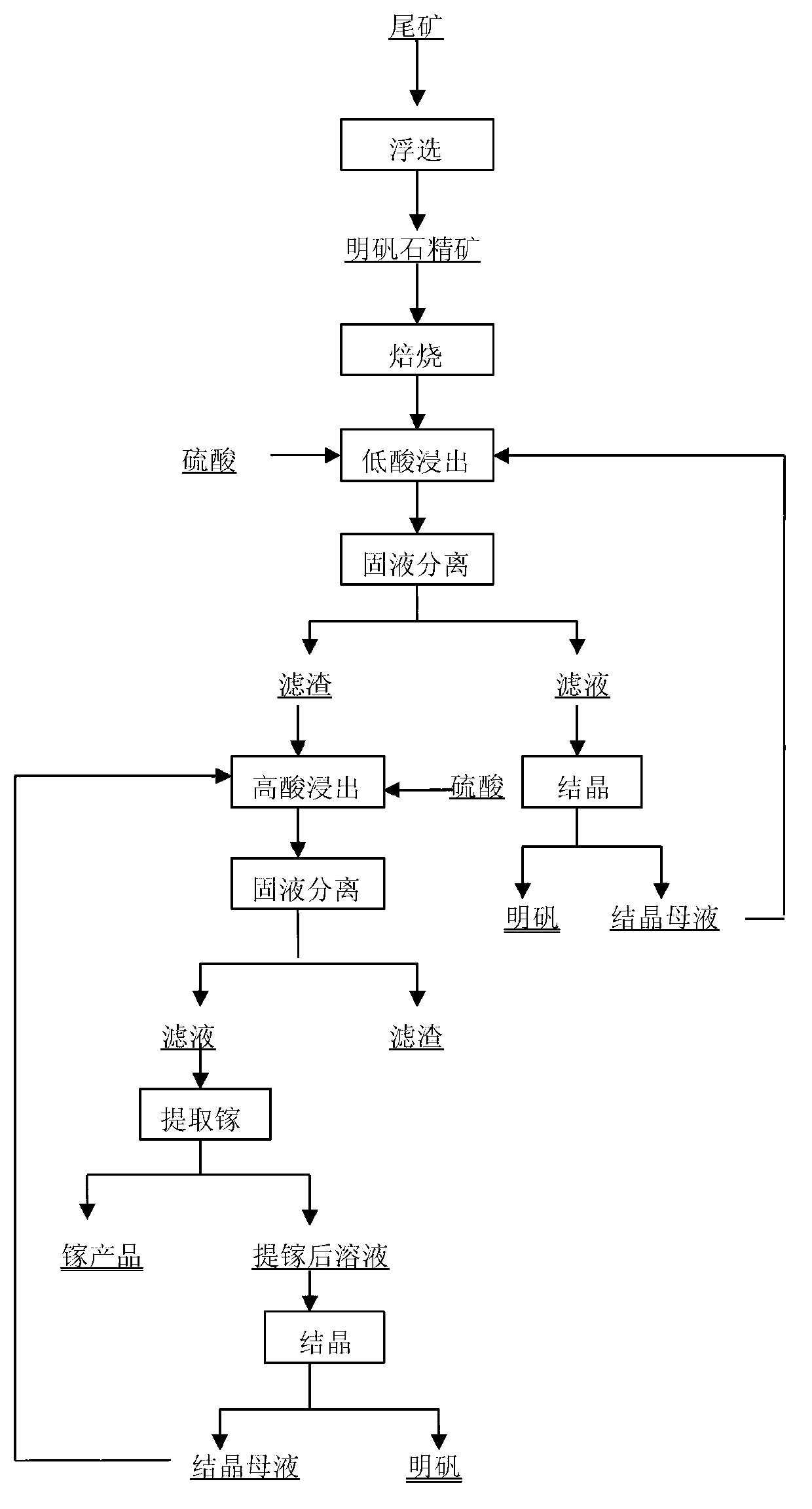 Method for selectively recovering alum and gallium from alunite concentrate