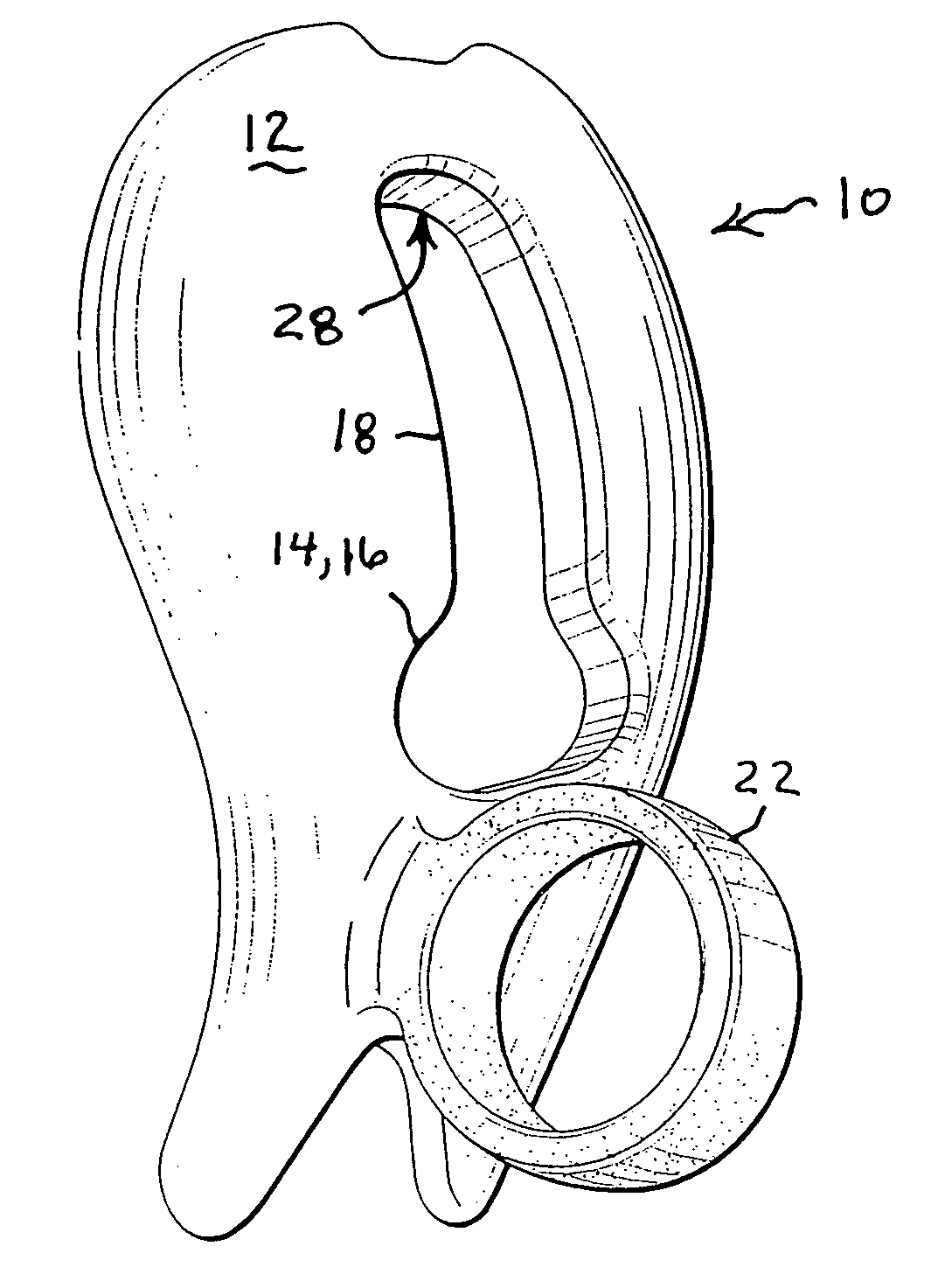 Handheld examination holder for avian hatchlings, and gender examination process