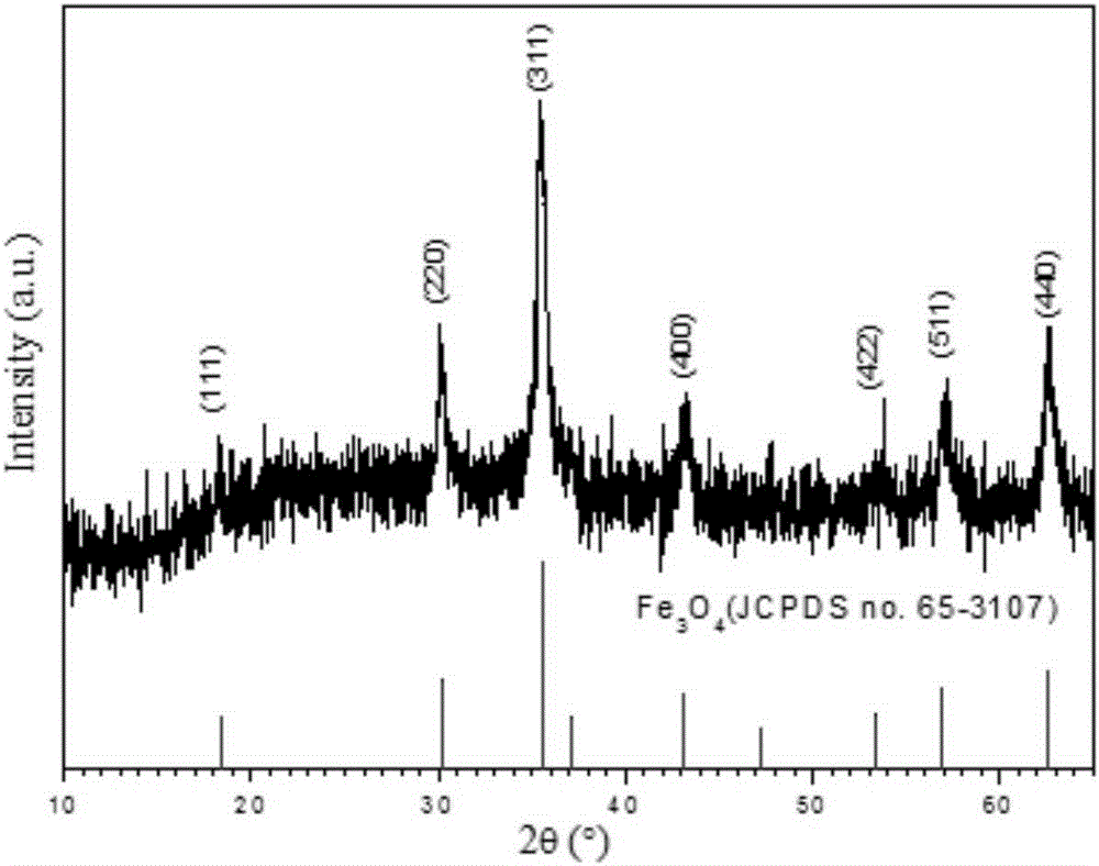 Copper-doped Fe3O4 magnetic composite nanomaterial as well as preparation method and application thereof