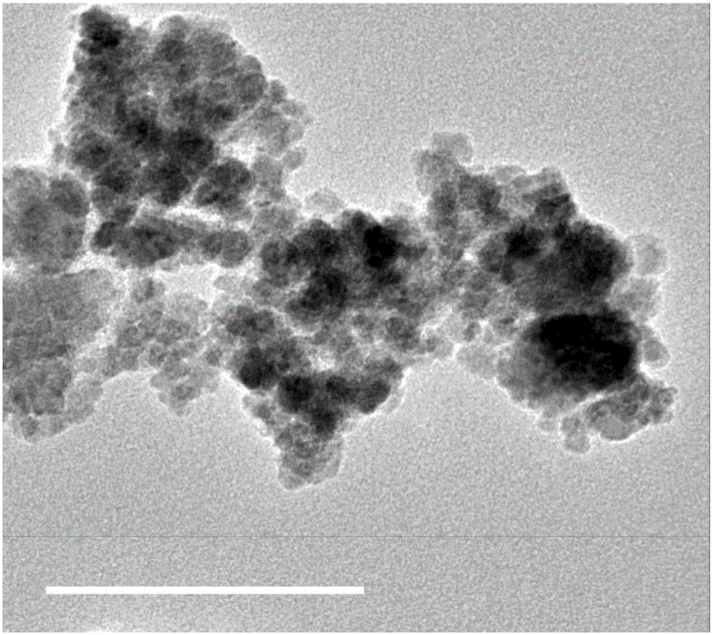 Copper-doped Fe3O4 magnetic composite nanomaterial as well as preparation method and application thereof