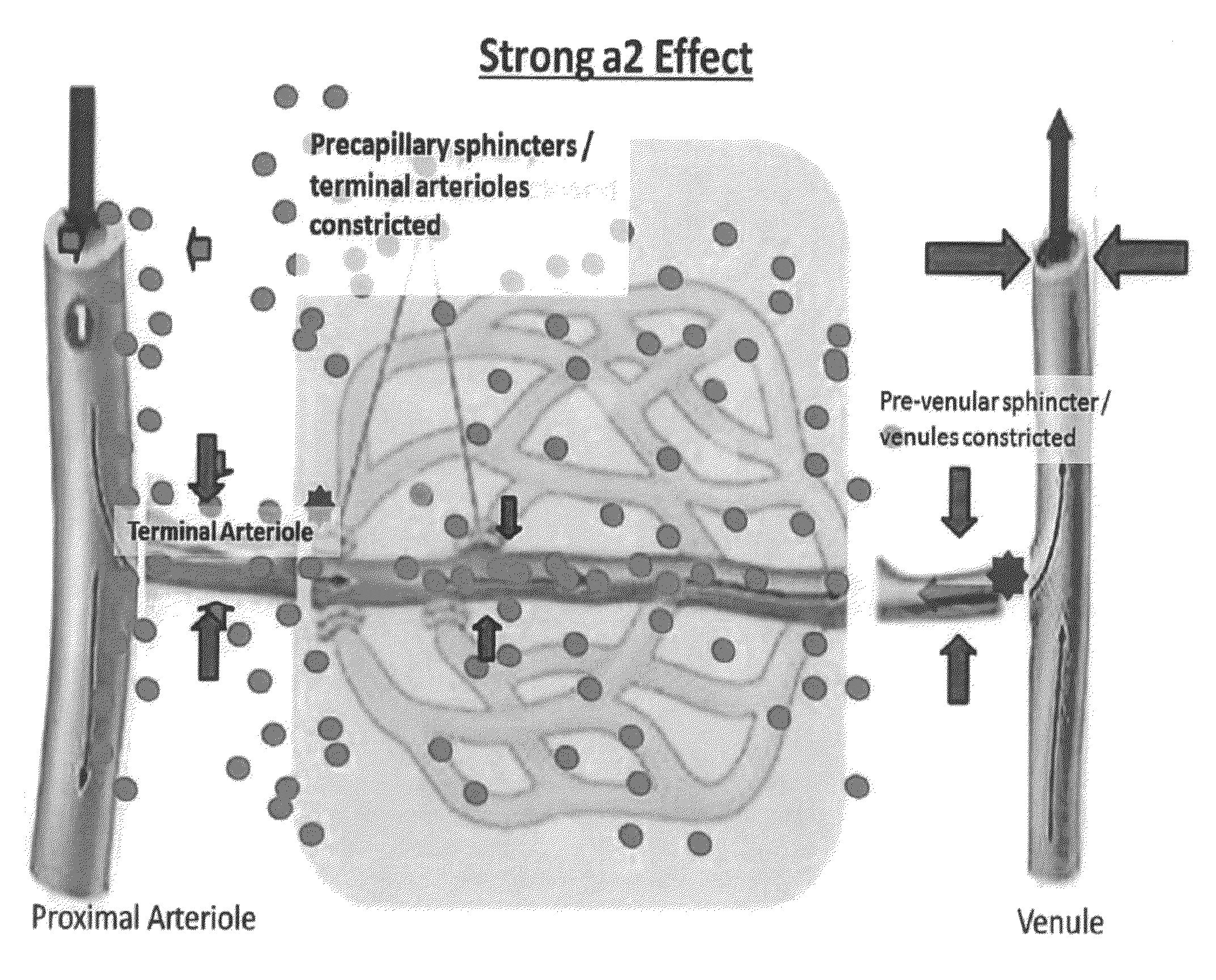 Compositions and methods for the treatment of nasal conditions