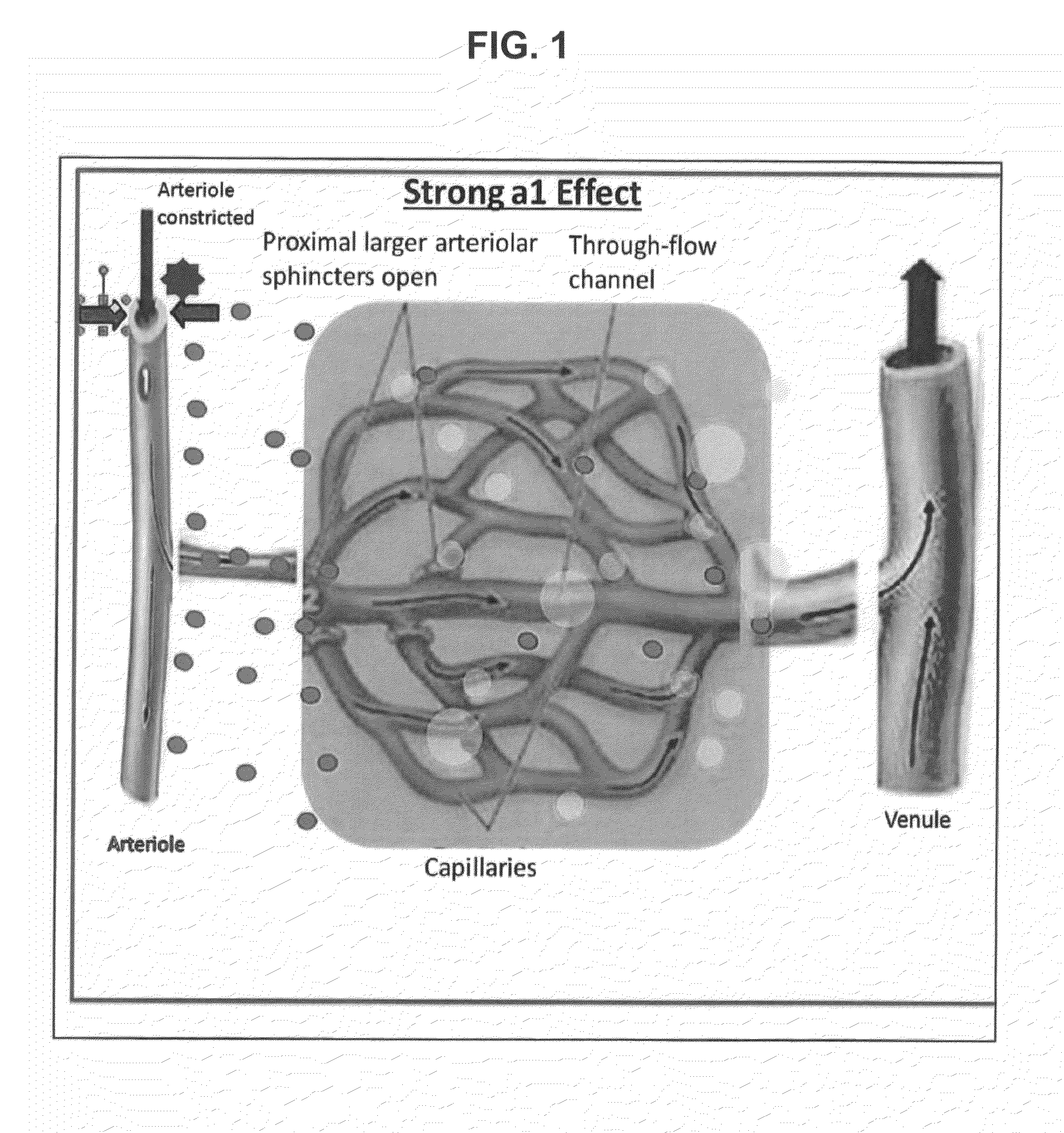 Compositions and methods for the treatment of nasal conditions