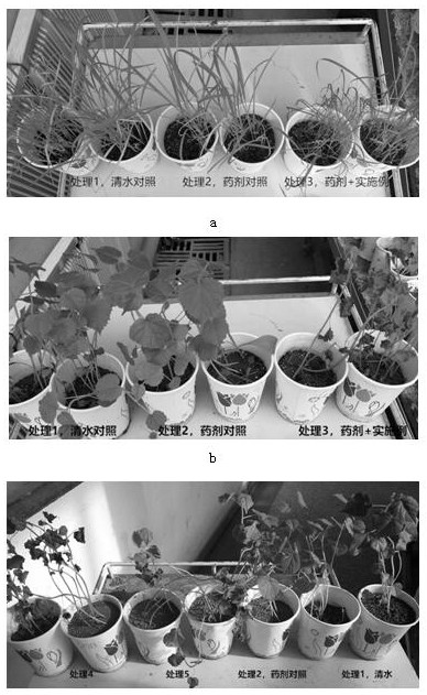 A kind of synergistic composition of herbicide glufosinate-ammonium