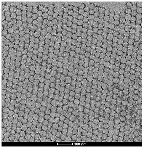 Method for preparing two-dimensional ordered mesoporous nanosheet by inorganic salt interface induced assembling