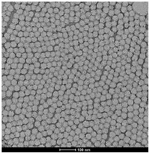 Method for preparing two-dimensional ordered mesoporous nanosheet by inorganic salt interface induced assembling