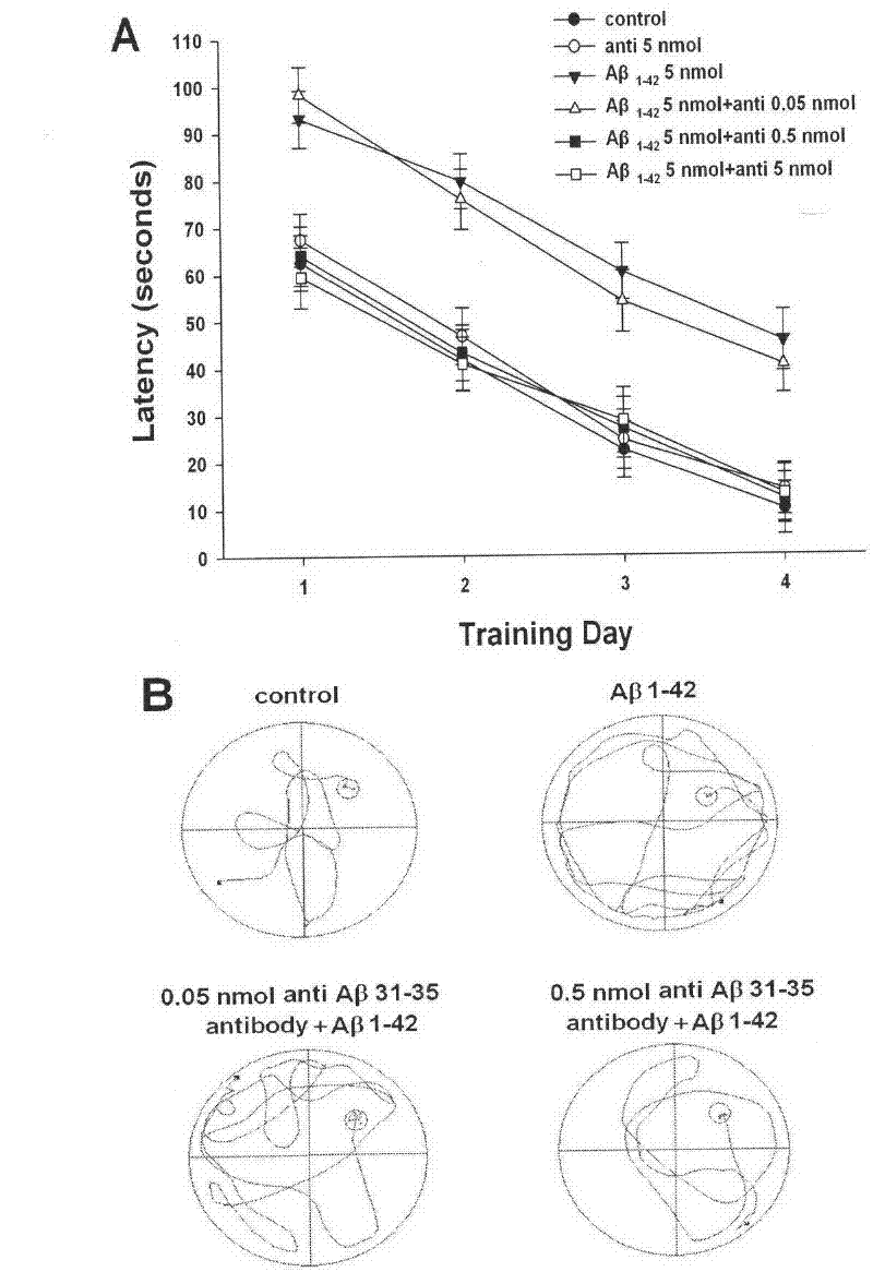 Anti-aβ31-35 antibody for treating and preventing Alzheimer's disease and preparation method thereof