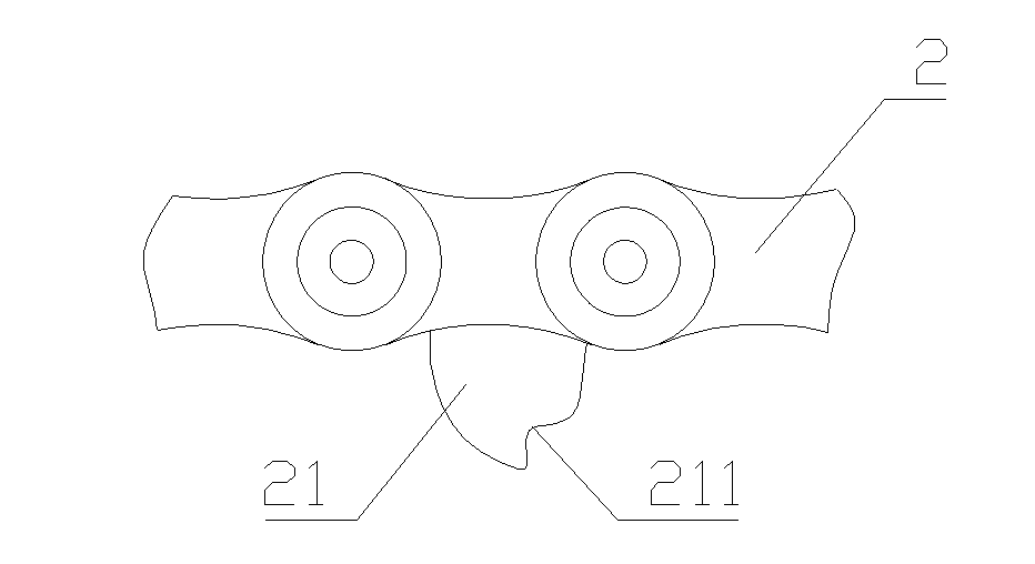 Reversed installation prevention structure for chain of chain saw