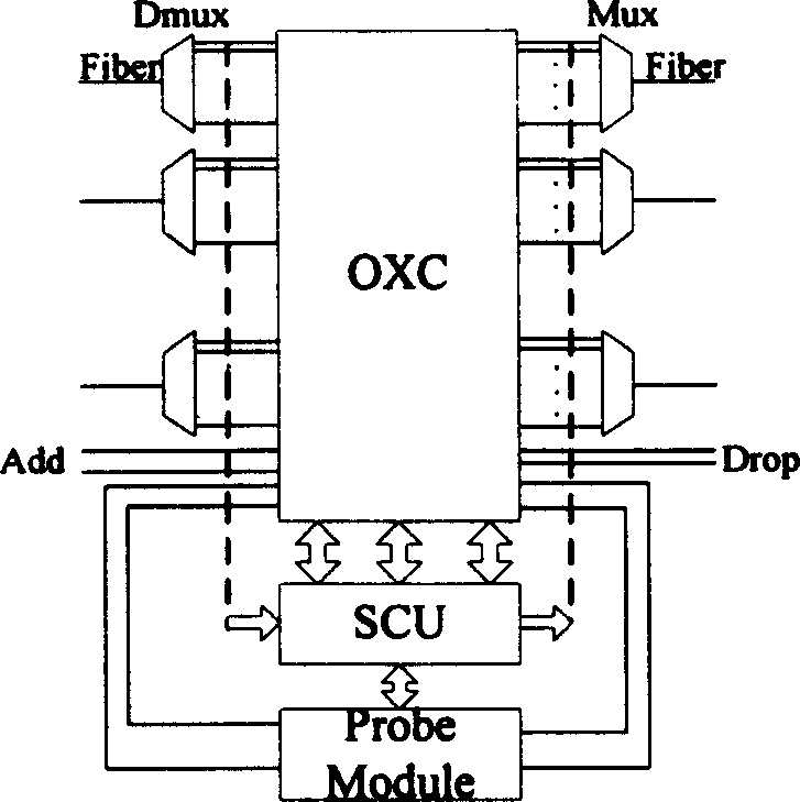 Optical burst switched network performance and fault monitoring method