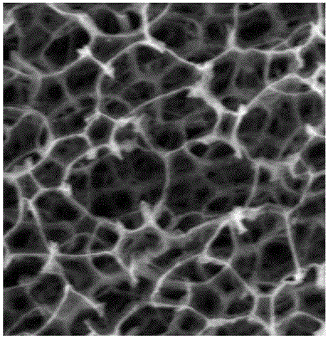 Phosphorene-graphene composite material and preparation method thereof