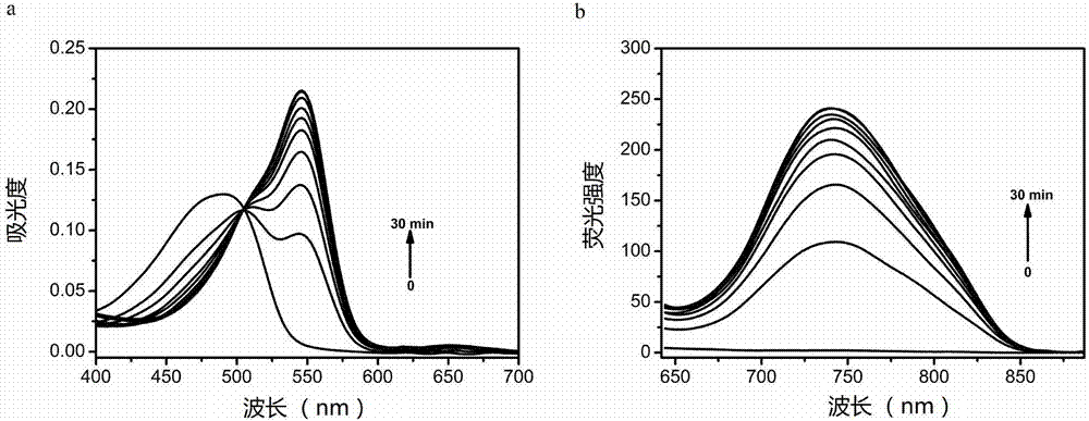 Large-Stokes-displacement near-infrared BODIPY (boron-dipyrromethene) dye and preparation and application thereof