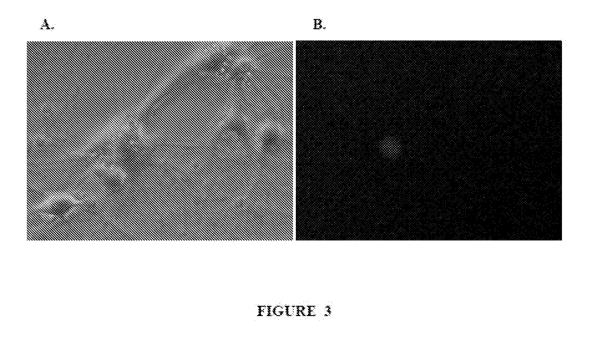 Neural transfection reagents