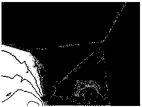 Visualization method for supersonic two-dimensional flow field data