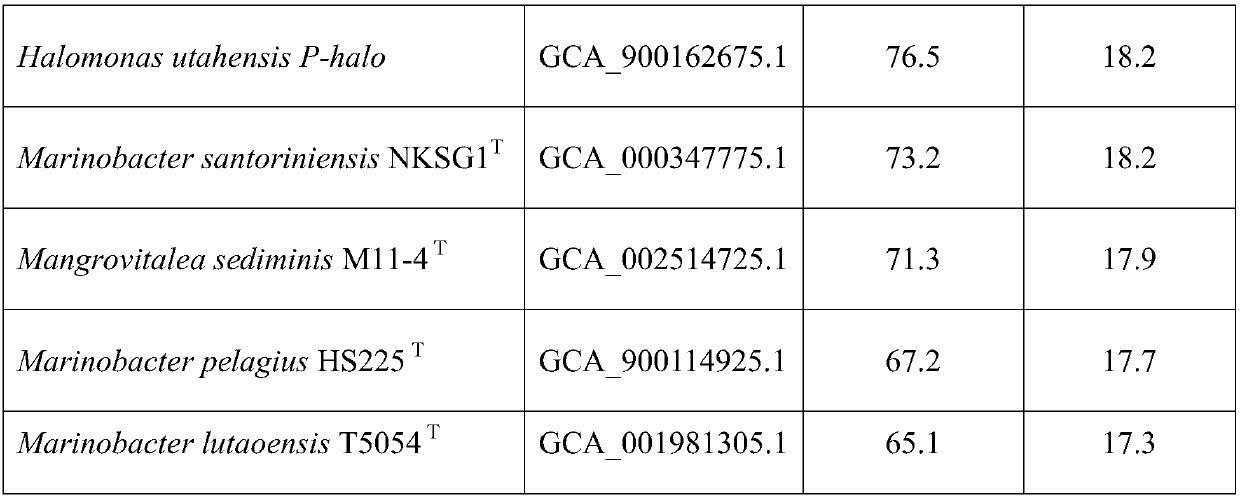 Process for treating high-salinity wastewater by utilizing halophilic bacteria YL5-2