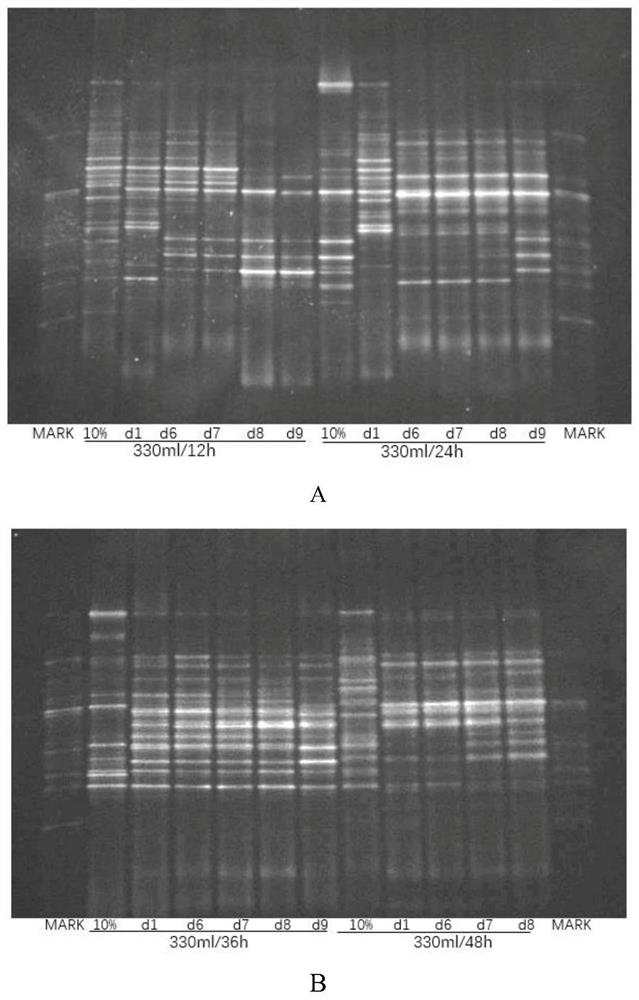 A method for constructing an in vitro simulation model of Prevot enterotype