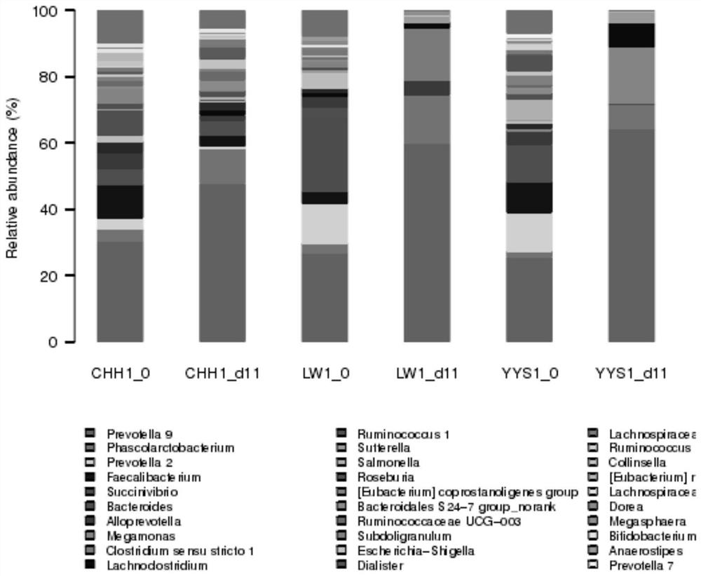 A method for constructing an in vitro simulation model of Prevot enterotype