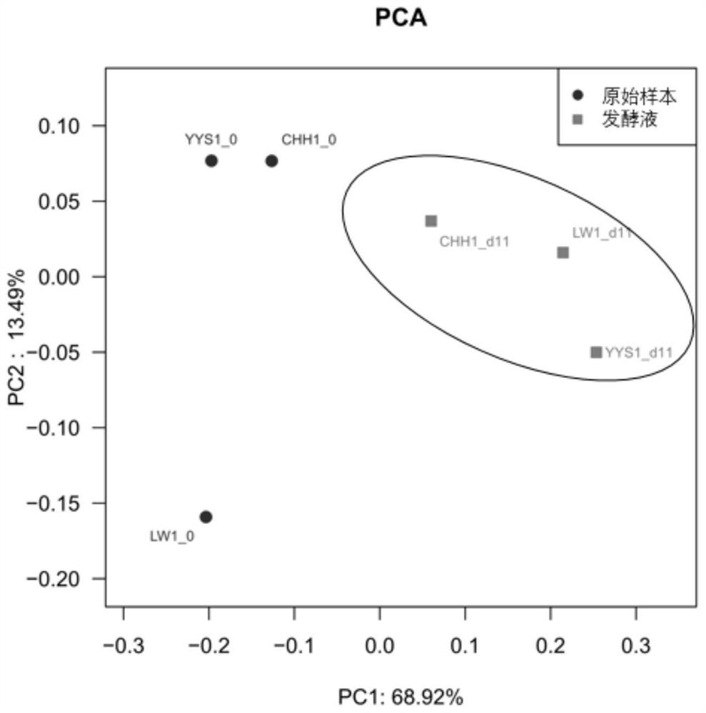 A method for constructing an in vitro simulation model of Prevot enterotype