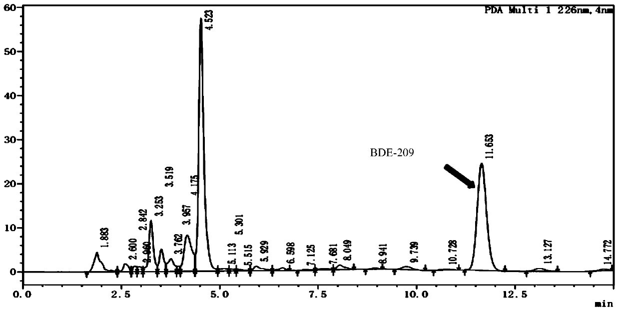 Microbacterium capable of degrading decabromodiphenyl ether as well as domestication method and application thereof