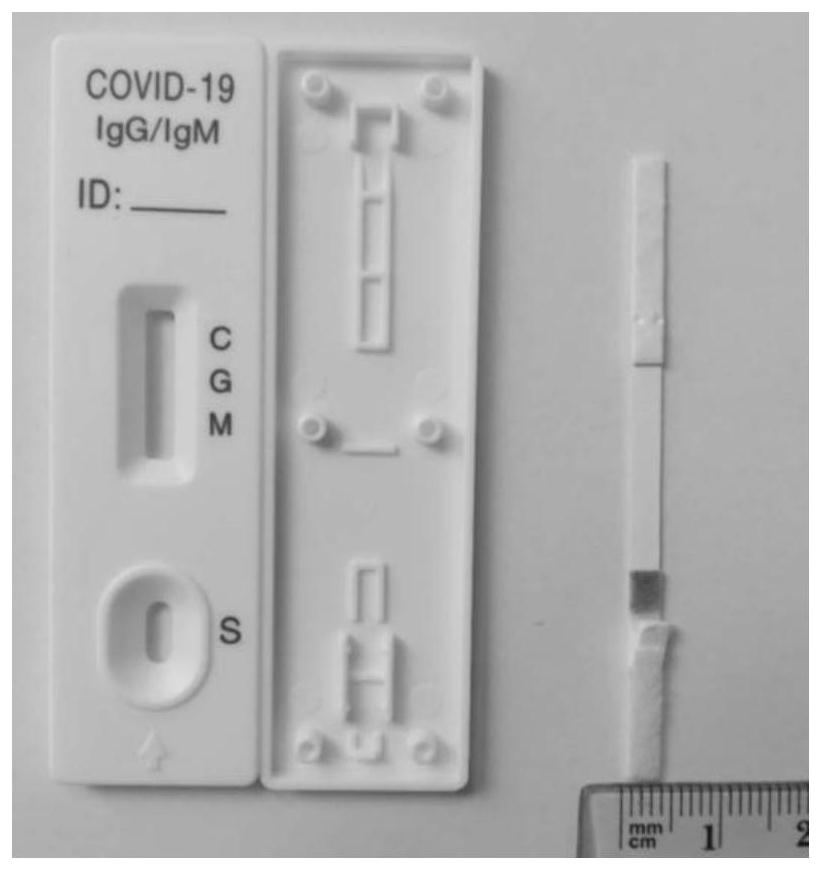 Reagent for detecting novel coronavirus SARS-CoV-2 antibody and application thereof