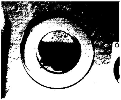 Oil level detection method and system