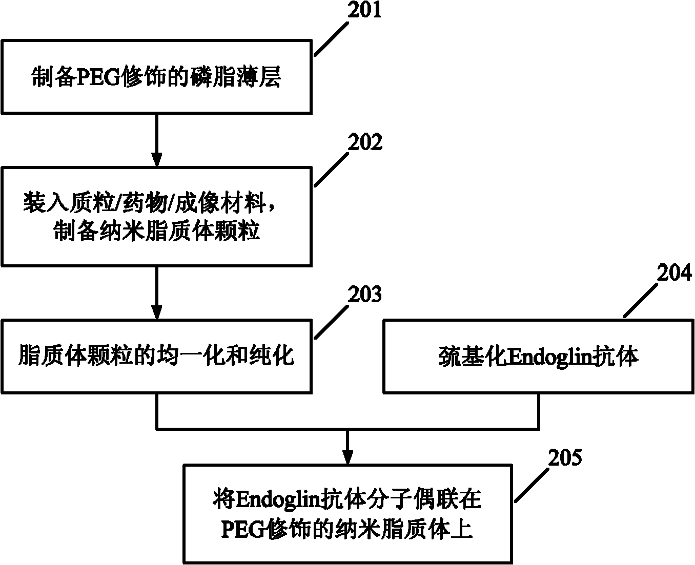 Endoglin antibody coupled liposome as well as preparation method and application thereof