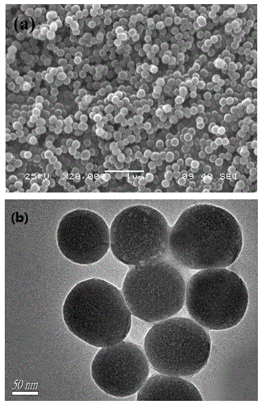 Method for preparing ion imprinting polymer by virtue of ultraviolet induced polymerization at room temperature and application of ion imprinting polymer